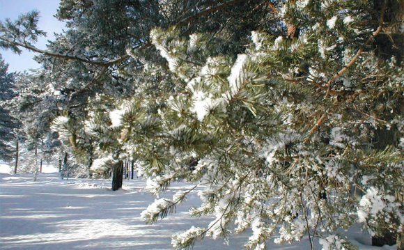 В Карелии самой природой
