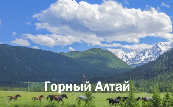туры на горный алтай цены